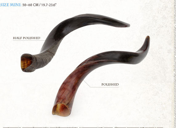 Kosher Yemenite Kudo ,Kudu Horn Shofar By