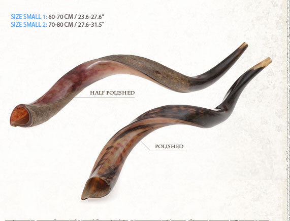 Kosher Yemenite Kudo ,Kudu Horn Shofar By