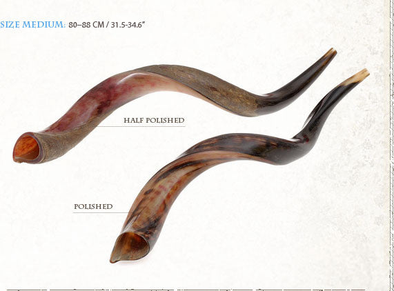 Kosher Yemenite Kudo ,Kudu Horn Shofar By