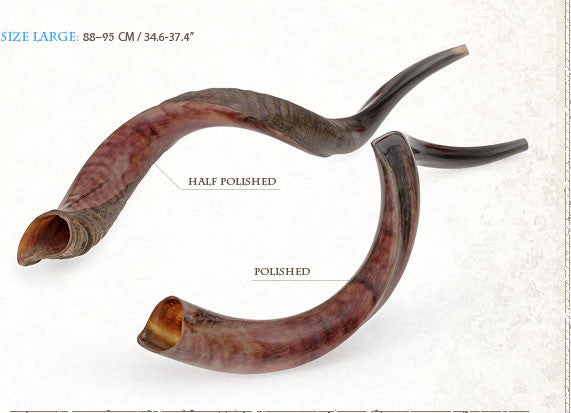 Kosher Yemenite Kudo ,Kudu Horn Shofar By