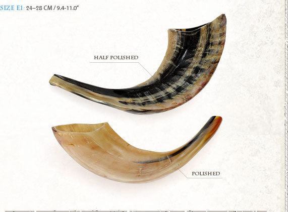 Kosher Rams Horn Shofar By