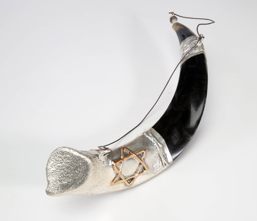 Silver Plated Anointing Oil Yemenite Shofar by 